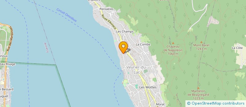 localisation de l'entreprise LES PETITS SERVICES  VEYRIER-DU-LAC