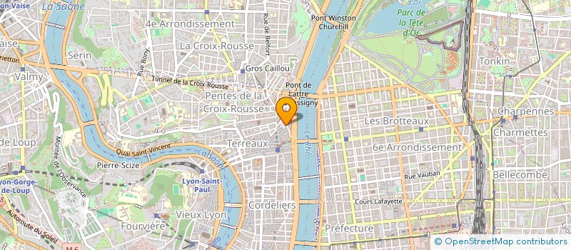 localisation de l'entreprise LES PETITS THOU à LYON