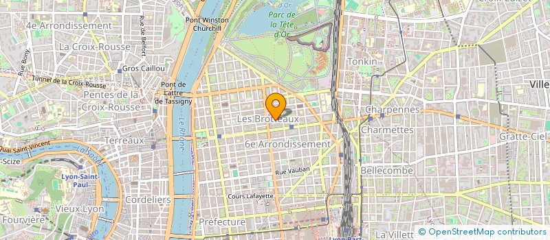 localisation de l'entreprise LES PETITS TOP à LYON