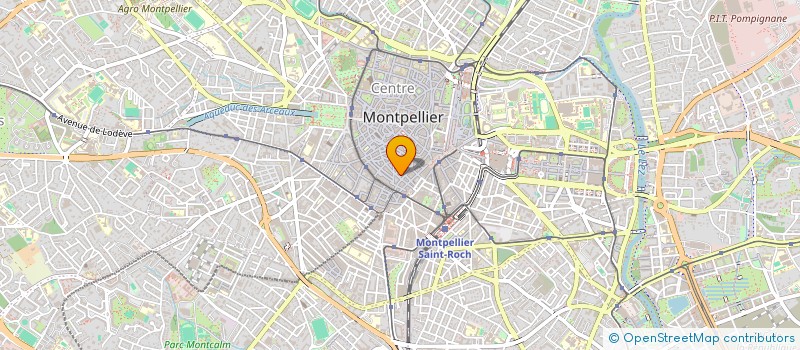 localisation de l'entreprise LES PHENO-MENES à MONTPELLIER