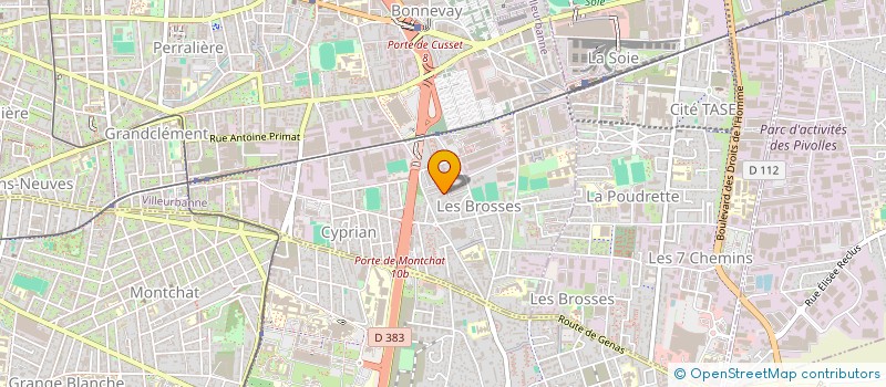 localisation de l'entreprise LES PIERRES IMMO 1990  VILLEURBANNE