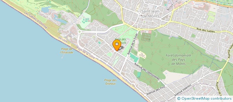 localisation de l'entreprise LES PIES DE L'ALLEE  SAINT-JEAN-DE-MONTS