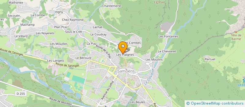 localisation de l'entreprise LES PIGNONS FOUS  SAMOENS