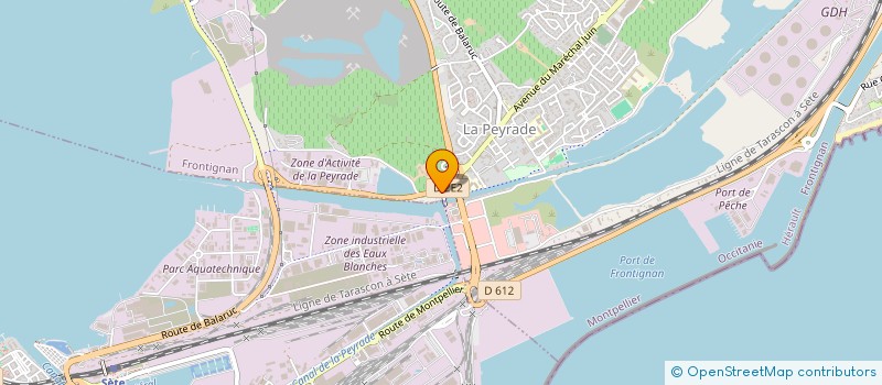 localisation de l'entreprise LES PIN'S à FRONTIGNAN