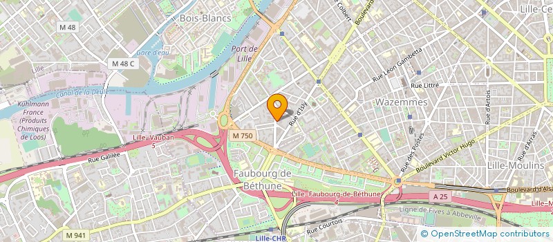 localisation de l'entreprise LES PINATAS à LILLE