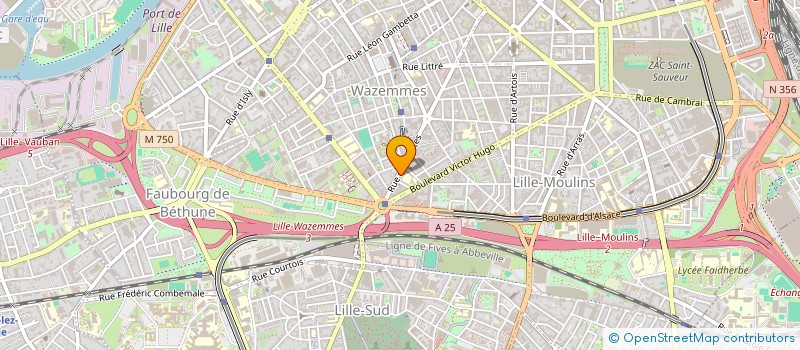 localisation de l'entreprise LES PINCHADISCOS à LILLE