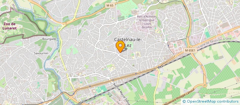 localisation de l'entreprise LES PINS  CASTELNAU-LE-LEZ