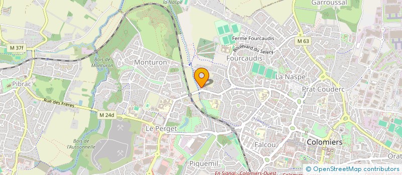 localisation de l'entreprise LES PINS à COLOMIERS