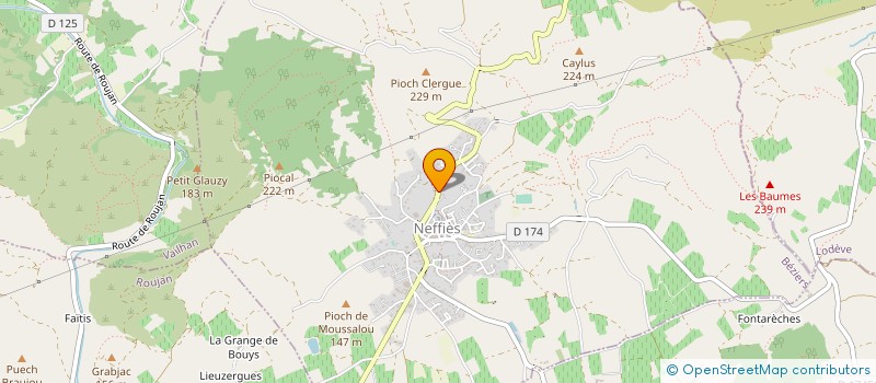 localisation de l'entreprise LES PINS  NEFFIES