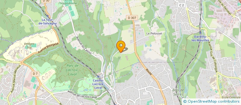 localisation de l'entreprise LES PINS  DARDILLY