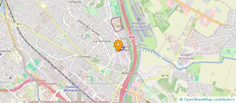 localisation de l'entreprise LES PIONNIERS  TOULOUSE