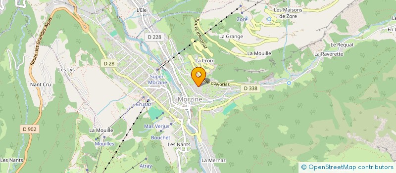localisation de l'entreprise LES PIRONS à MORZINE
