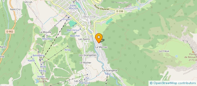 localisation de l'entreprise LES PISTES à MORZINE