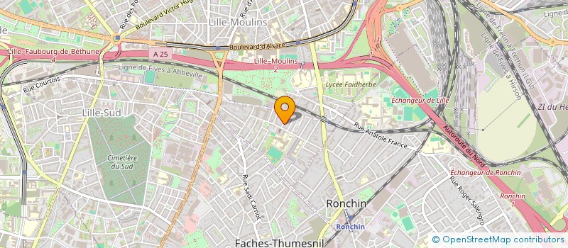 localisation de l'entreprise LES PLUMES GRISEES à LILLE