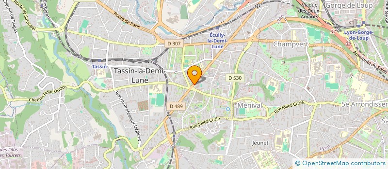 localisation de l'entreprise LES POETES à TASSIN-LA-DEMI-LUNE