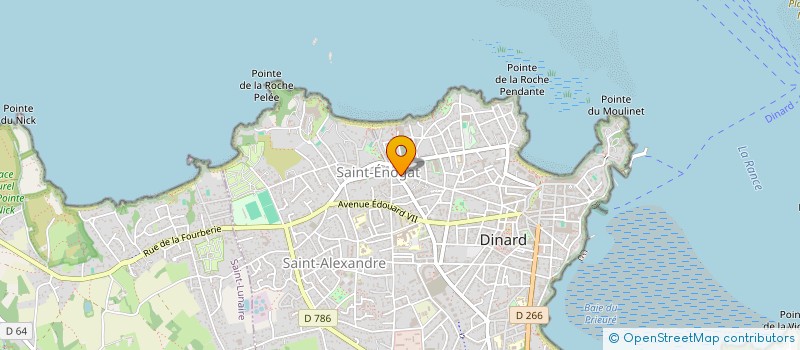 localisation de l'entreprise LES POUCES DE JUNA  DINARD