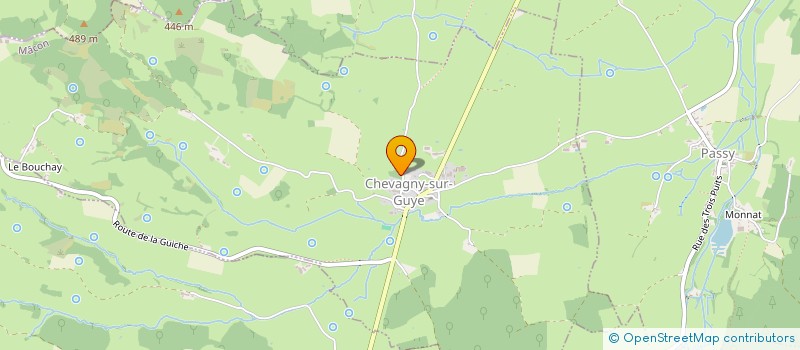localisation de l'entreprise LES PRODUCTEURS DE LA PETITE GUYE  CHEVAGNY-SUR-GUYE