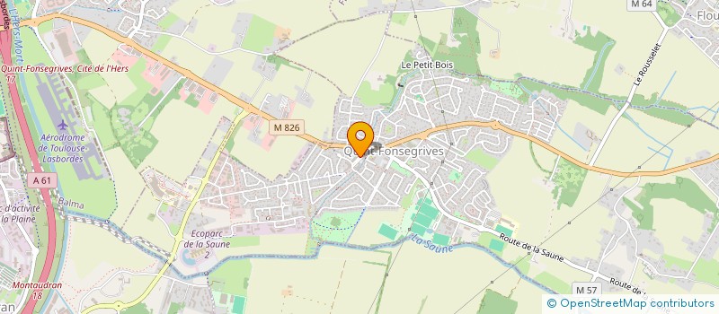 localisation de l'entreprise LES PROFESSIONNELS  QUINT-FONSEGRIVES