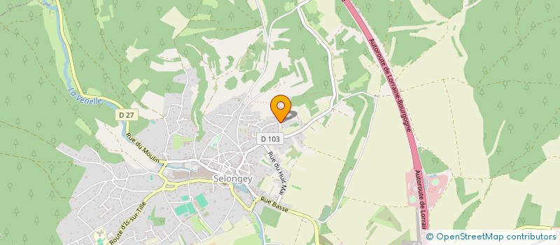 localisation de l'entreprise LES PROFESSIONNELS DES TROIS RIVIERES  SELONGEY