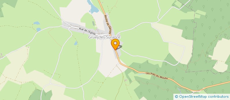 localisation de l'entreprise LES PRUN'S  GRUEY-LES-SURANCE