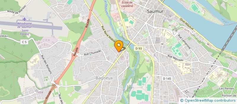 localisation de l'entreprise LES PUCES A L'OREILLE DE SAUMUR  DOUE-EN-ANJOU