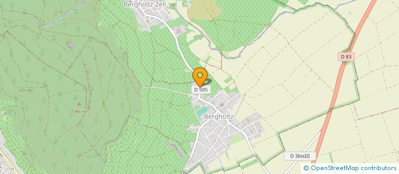 localisation de l'entreprise LES QUATRE GRUN'S  BERGHOLTZ