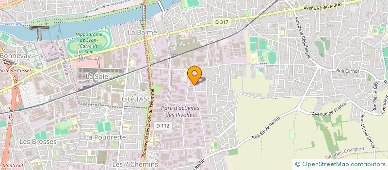 localisation de l'entreprise LES RAGONDINS  DECINES-CHARPIEU