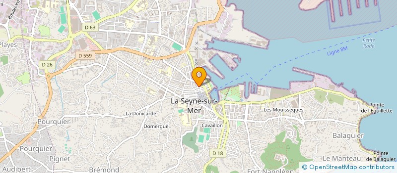 localisation de l'entreprise LES RANDONNEURS SEYNOIS (LRS) à LA SEYNE-SUR-MER