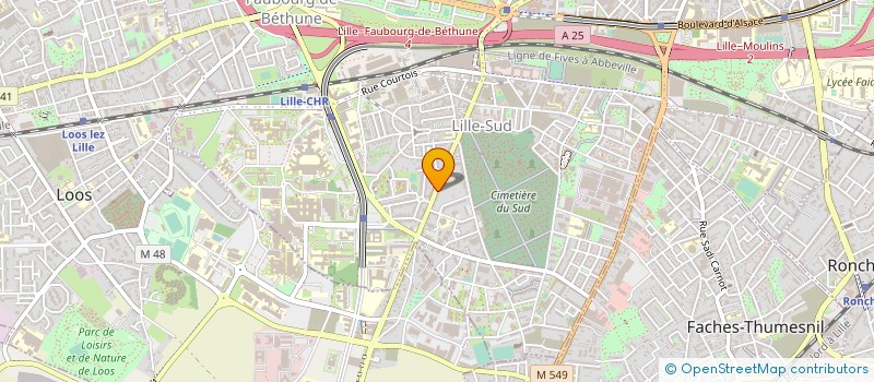 localisation de l'entreprise LES RAVAGEURS à LILLE