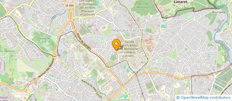 localisation de l'entreprise LES RAYONS LIGNEUX  MONTPELLIER