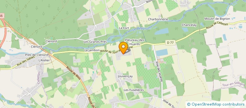 localisation de l'entreprise LES REGALIS  COUR-CHEVERNY