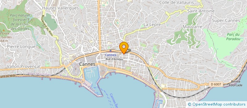 localisation de l'entreprise LES RESIDENCES DU BOUGNON à CANNES