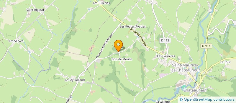 localisation de l'entreprise LES REVES D'AUDREY  ST MAURICE LES CHATEAUNEUF