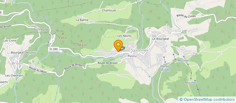 localisation de l'entreprise LES REVINES  MONT-SAXONNEX