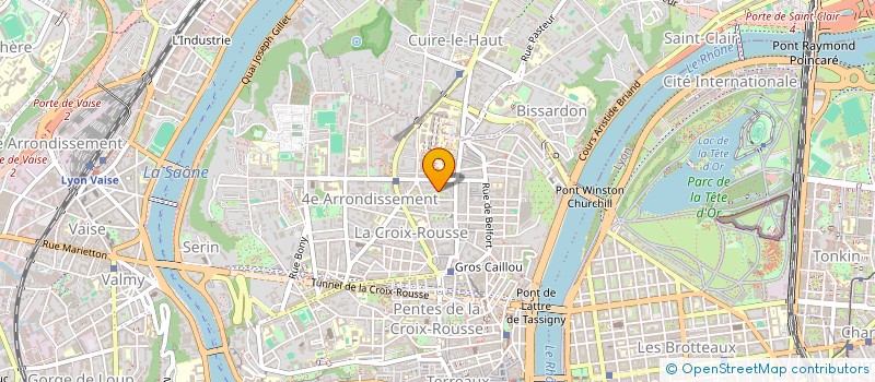 localisation de l'entreprise LES REVS  LYON