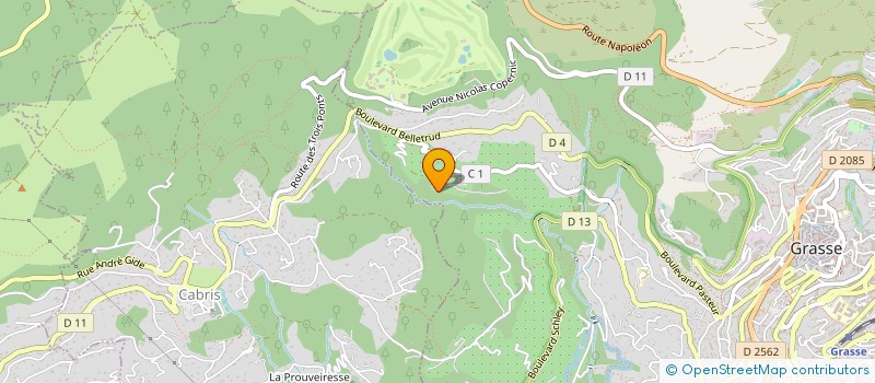 localisation de l'entreprise LES RIBES à GRASSE