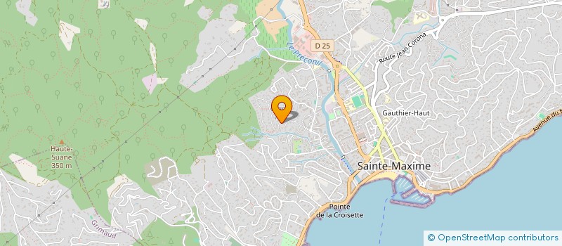 localisation de l'entreprise LES RIVES D'OR  SAINTE-MAXIME