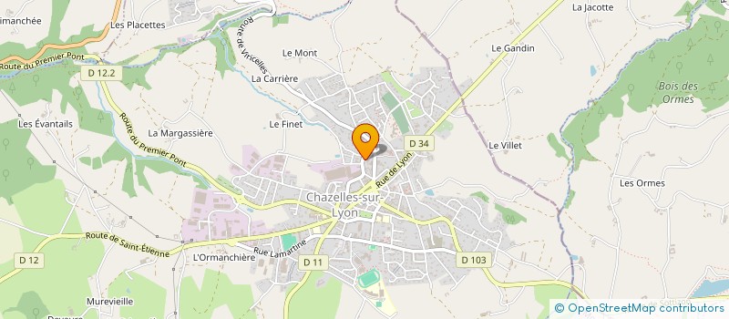 localisation de l'entreprise LES RIVES DU FOREZ  CHAZELLES-SUR-LYON