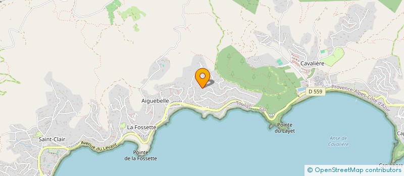 localisation de l'entreprise LES ROCHES ET SES BATEAUX à LE LAVANDOU