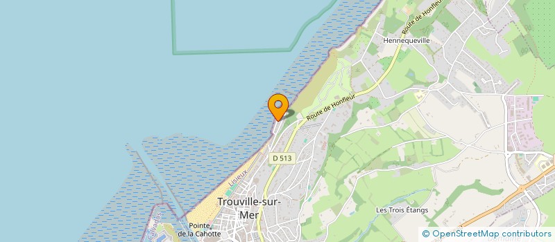 localisation de l'entreprise LES ROCHES NOIRES à TROUVILLE-SUR-MER