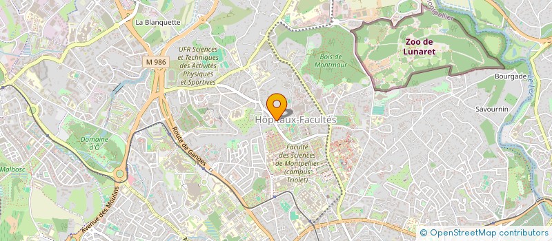 localisation de l'entreprise LES ROCS DE GEDDES à MONTPELLIER