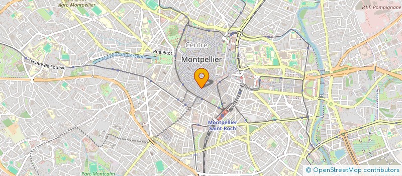 localisation de l'entreprise LES RONINS à MONTPELLIER