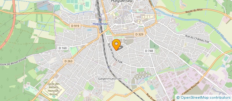 localisation de l'entreprise LES ROSEAUX  HAGUENAU