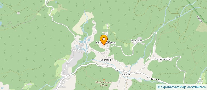 localisation de l'entreprise LES ROSES BLEUES  FRESSE