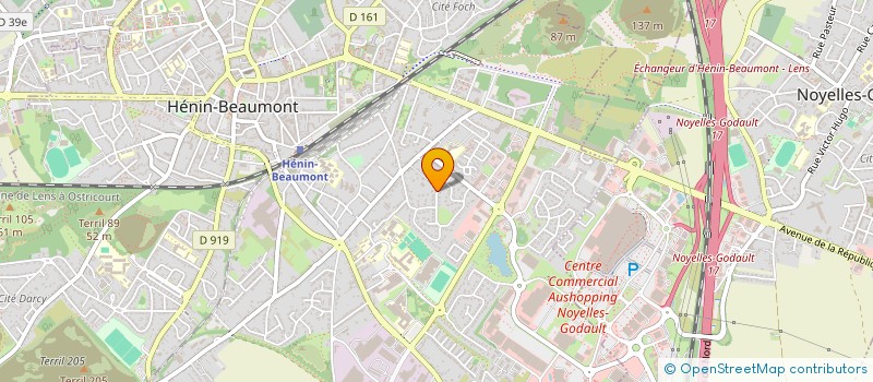 localisation de l'entreprise LES ROSES BLEUES à HENIN-BEAUMONT