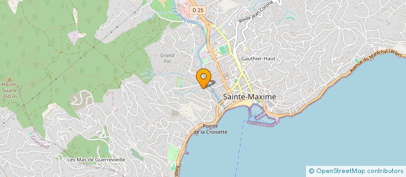 localisation de l'entreprise LES ROSES MARINES à SAINTE-MAXIME