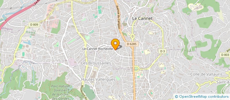 localisation de l'entreprise LES ROSES ROUGES à LE CANNET