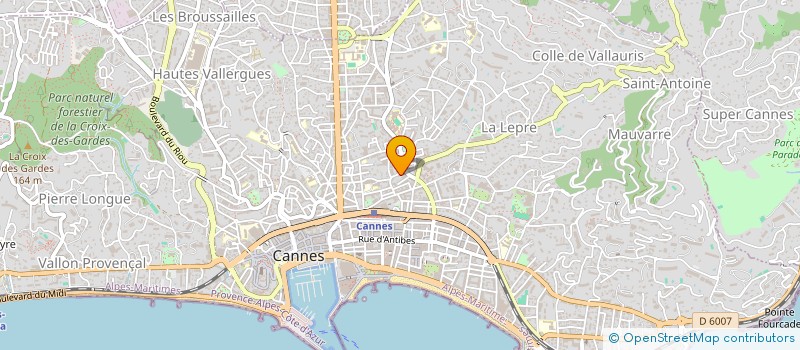 localisation de l'entreprise LES ROURES à CANNES