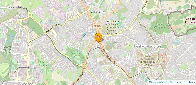 localisation de l'entreprise LES RUBANS GOLD à MONTPELLIER