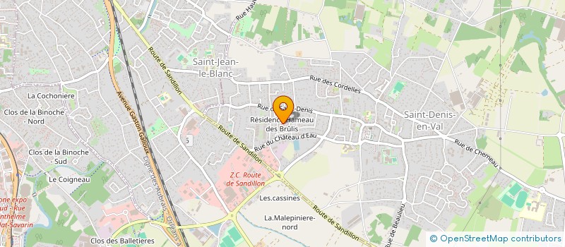localisation de l'entreprise LES SAIGNES  SAINT-DENIS-EN-VAL
